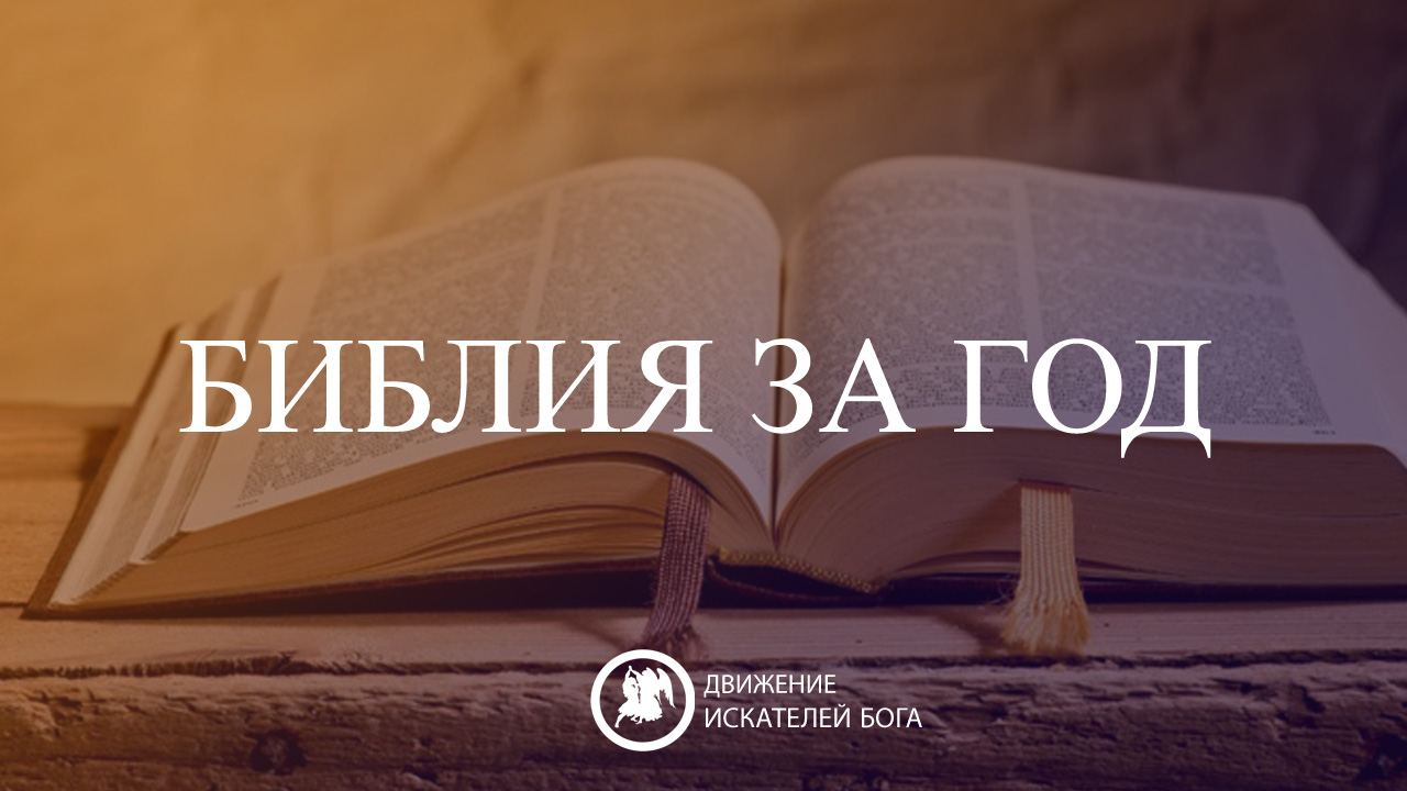 Читать библию на русском каждый день. Библия за год. Библия на год. Прочитай Библию за год. Читаем Библию каждый день с планом чтения.